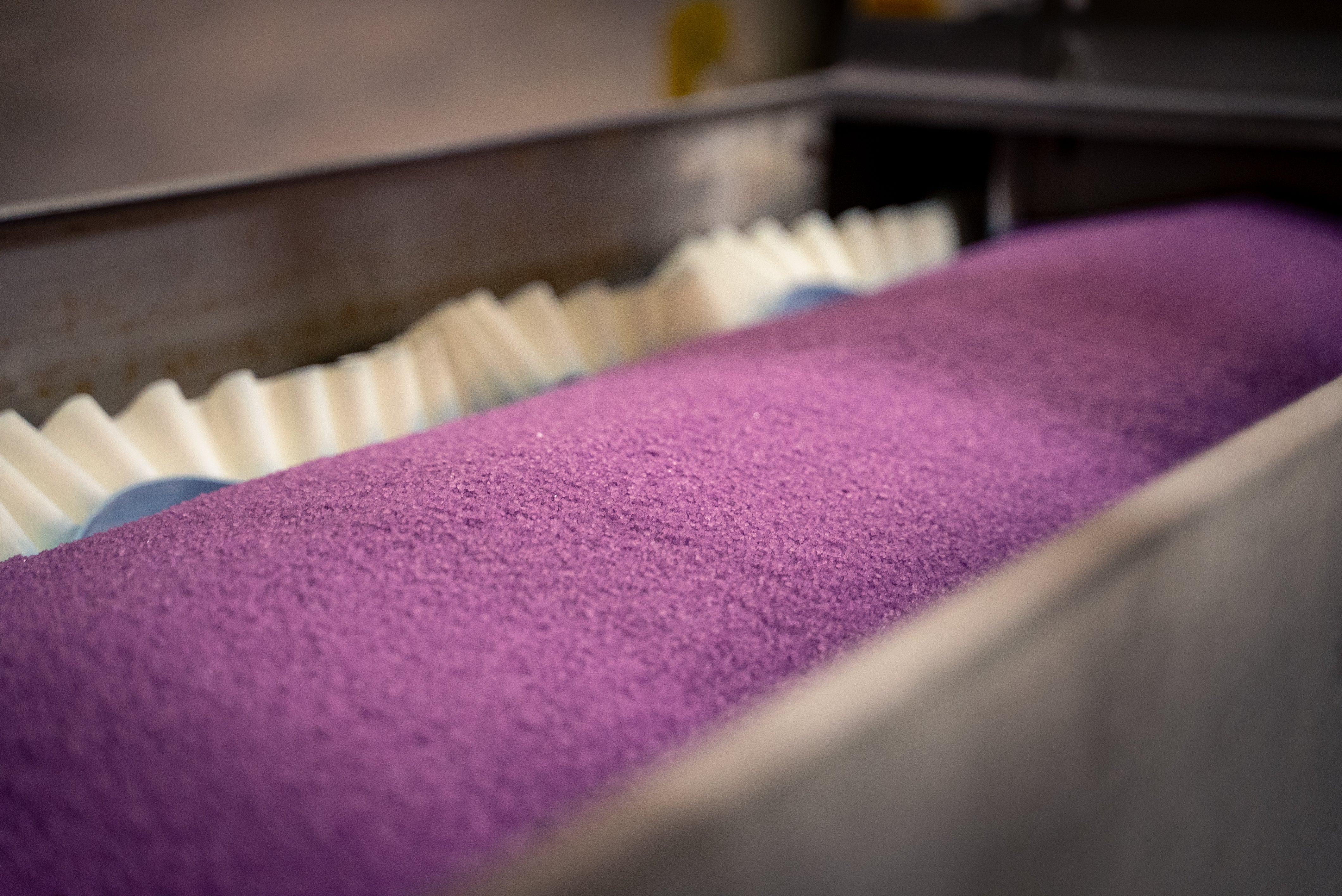 a purple material on a conveyor belt